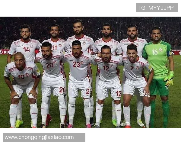 突尼斯队首次参加欧洲杯,表现亮眼晋级16强 突尼斯队首次参加欧洲杯,表现亮眼晋级16强